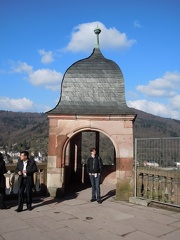 Erynn Schloss Cupula